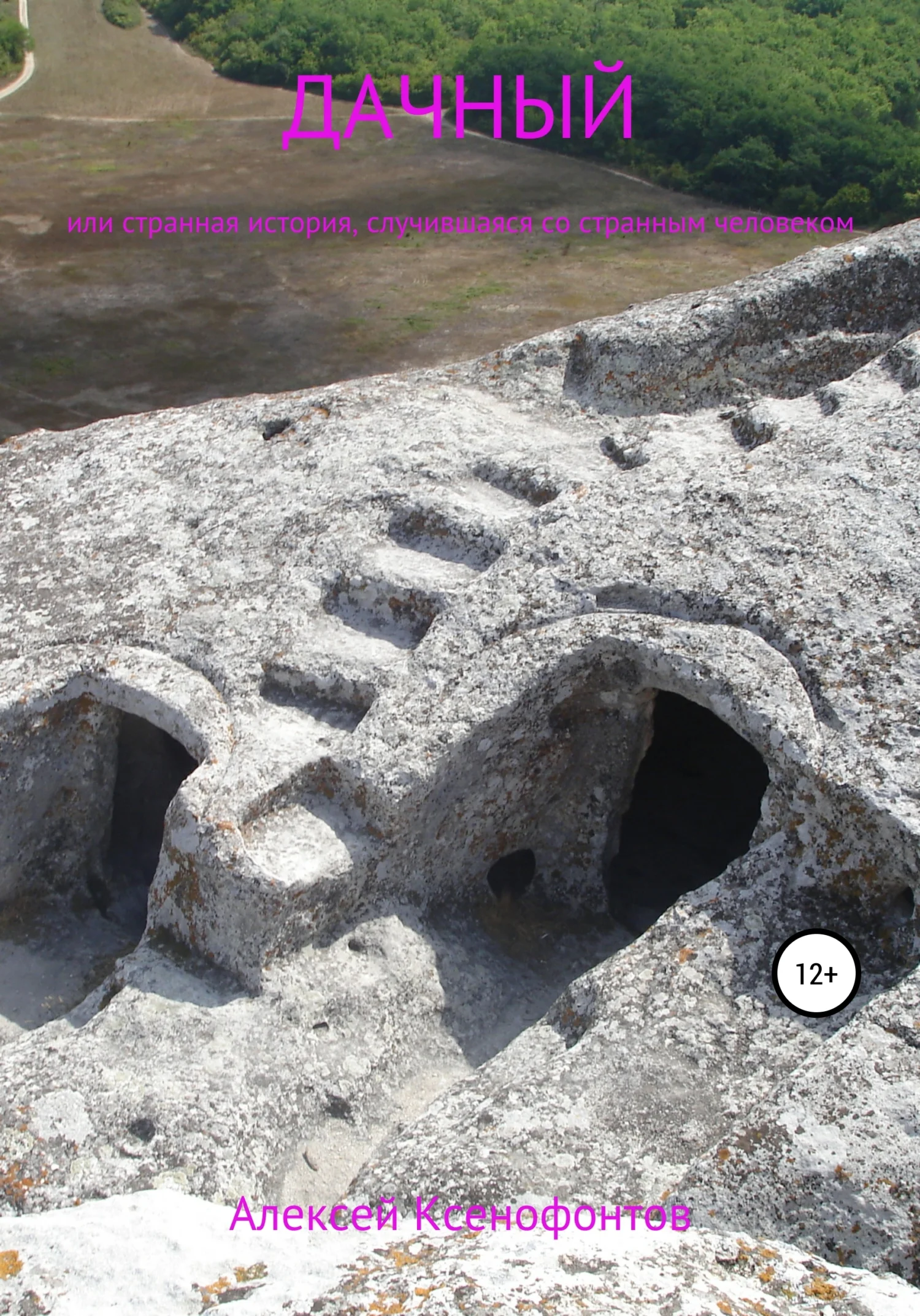 Обложка Дачный