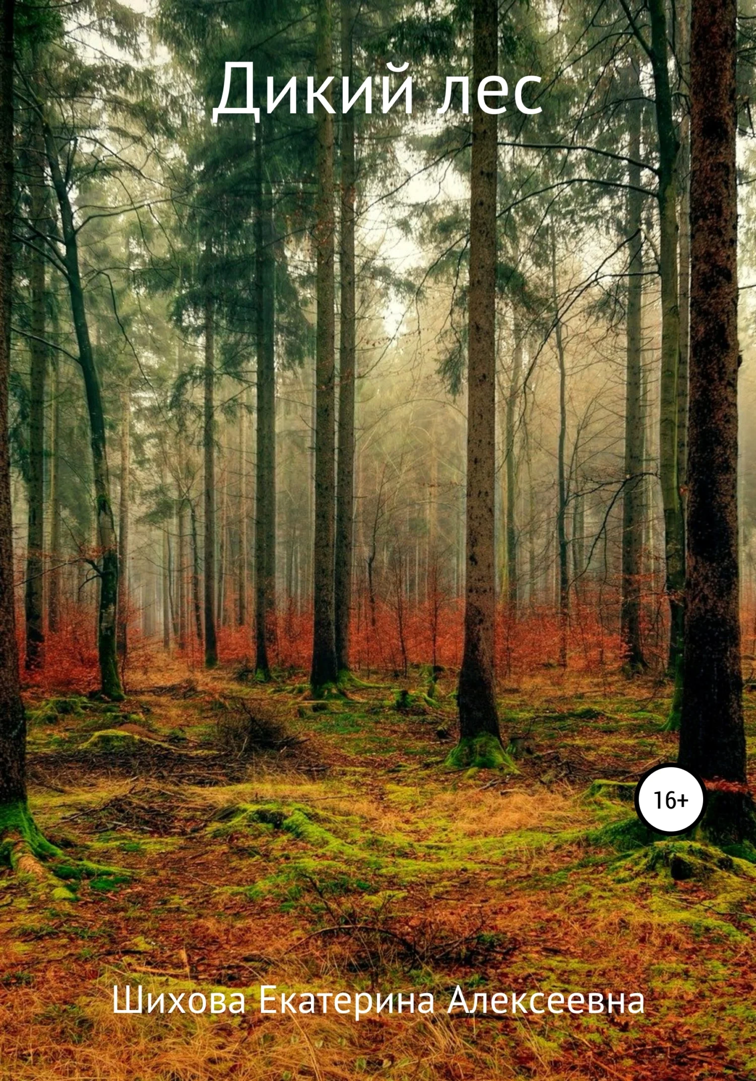 Обложка Дикий лес