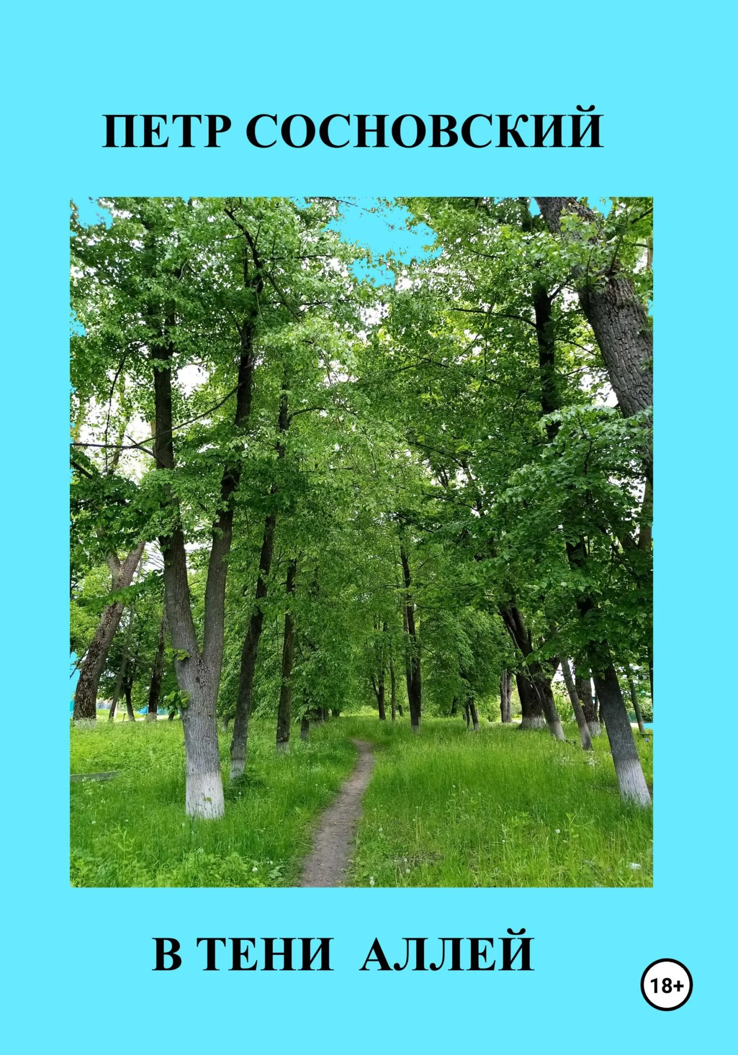 Обложка В тени аллей