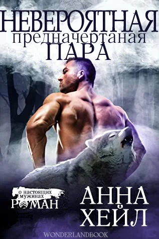 Обложка Невероятная, предначертанная пара
