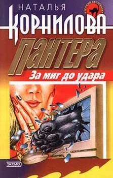 Обложка За миг до удара