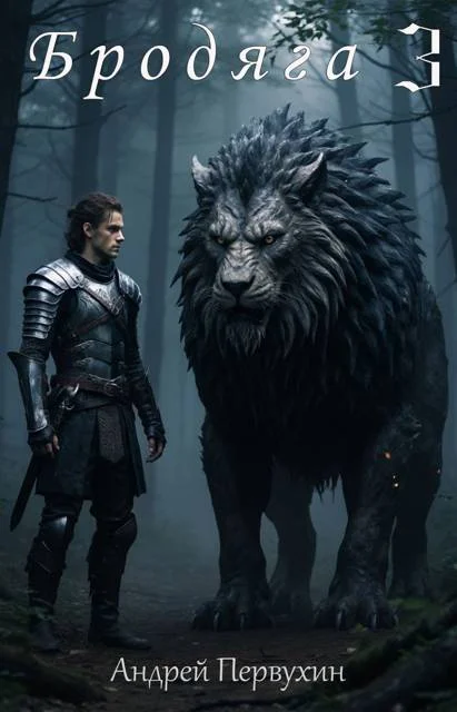 Обложка Бродяга. Том 3