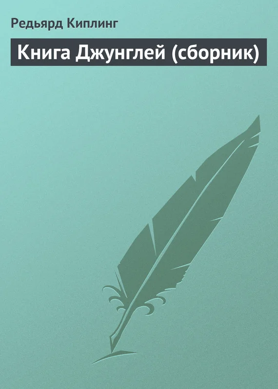 Обложка Книга Джунглей