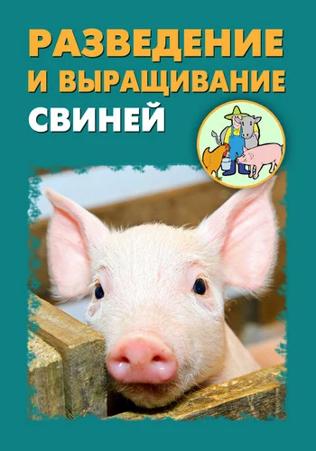 Обложка Разведение и выращивание свиней