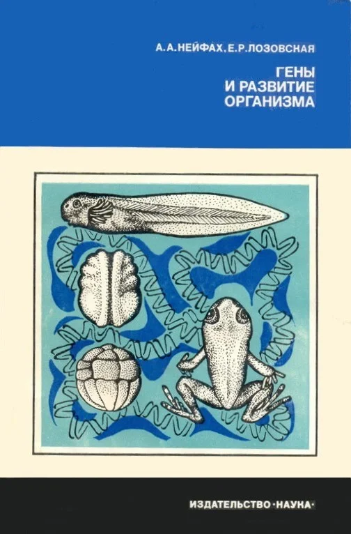 Обложка Гены и развитие организма