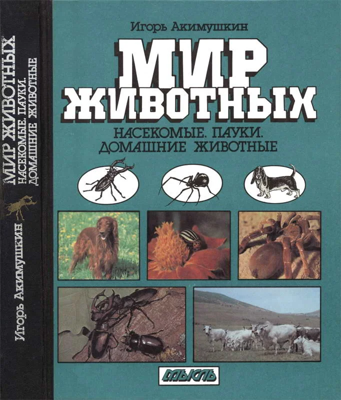 Обложка Мир животных: Насекомые. Пауки. Домашние животные