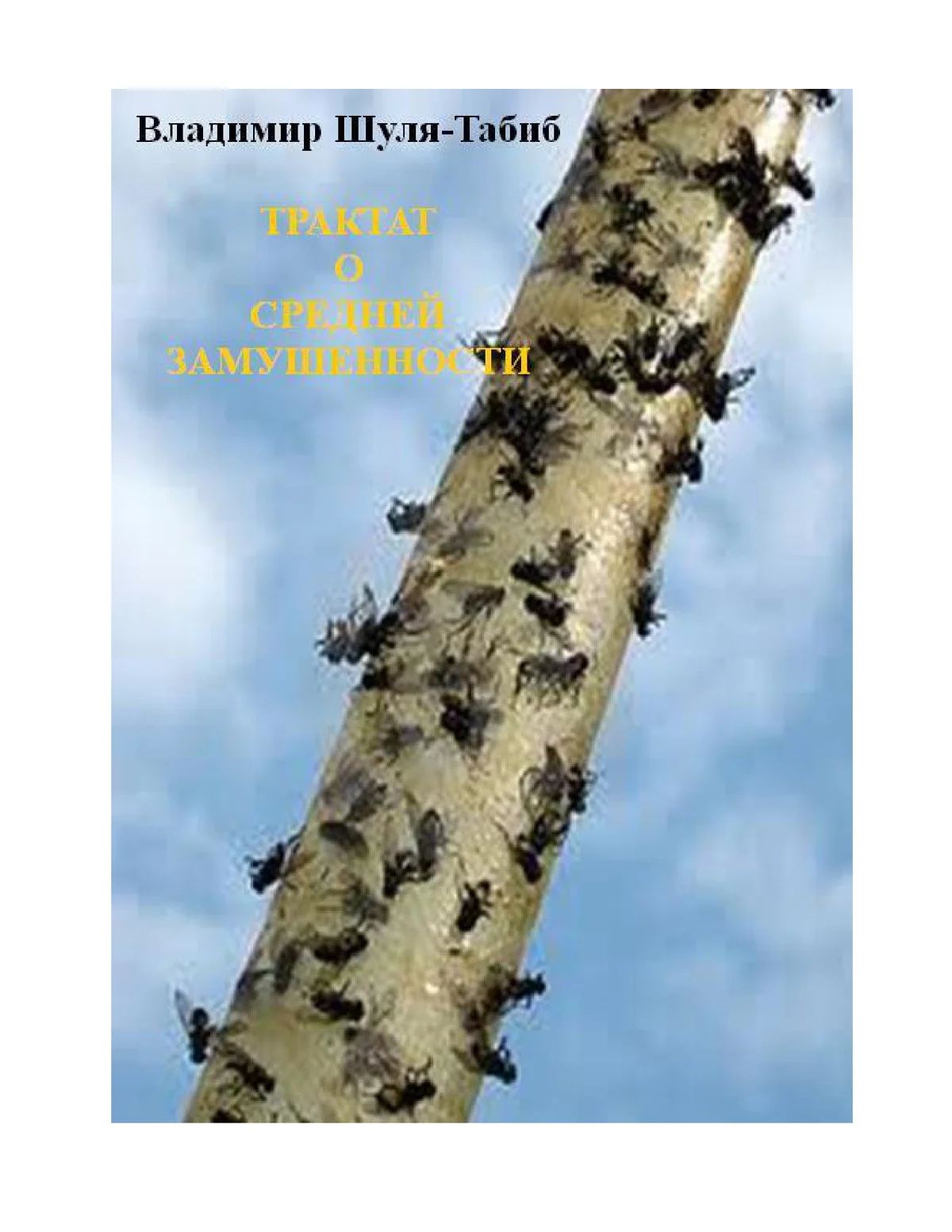 Обложка Трактат о средней замушенности