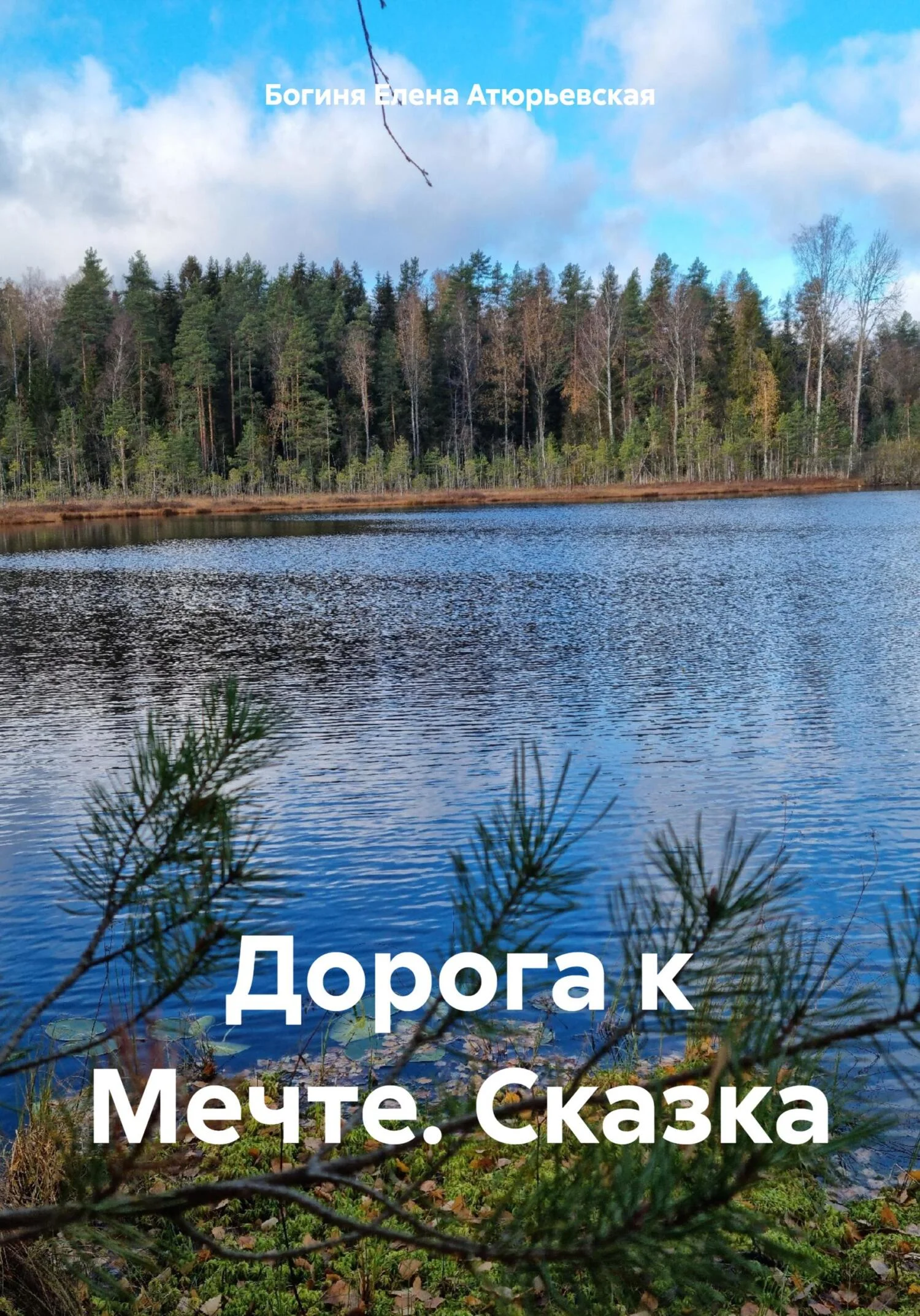 Обложка Дорога к Мечте. Сказка