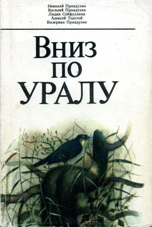 Обложка Вниз по Уралу
