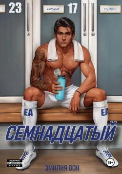 Обложка Семнадцатый