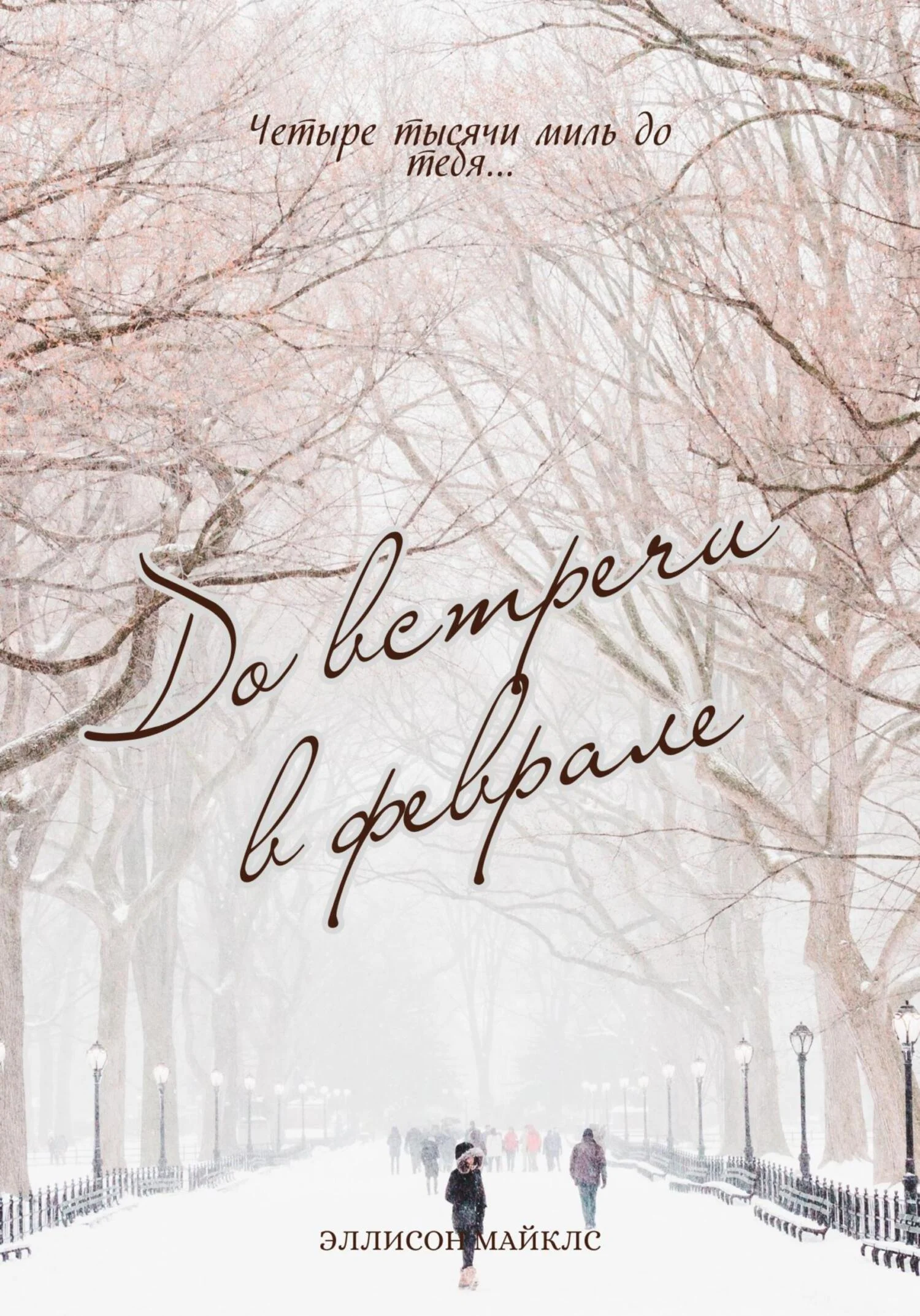 Обложка До встречи в феврале