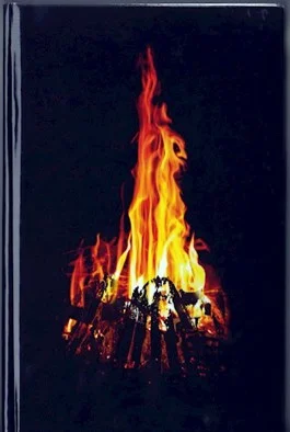 Обложка 666 градусов по Фаренгейту (температура, при которой горит ведьма)