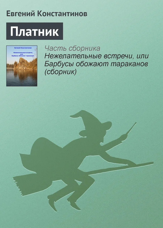 Обложка Платник