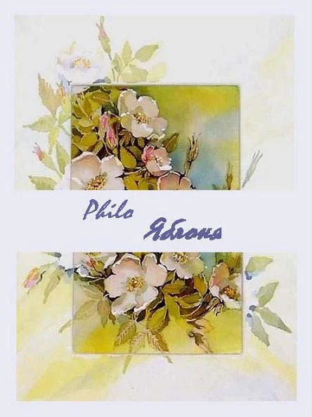 Обложка Яблоня