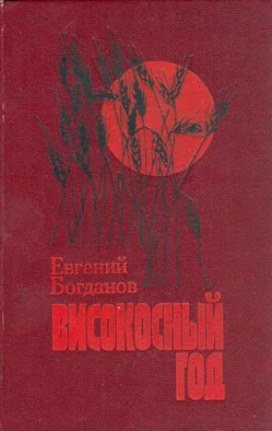 Обложка Високосный год: Повести