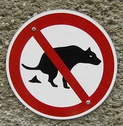 Обложка Люди против собак: кто кого?