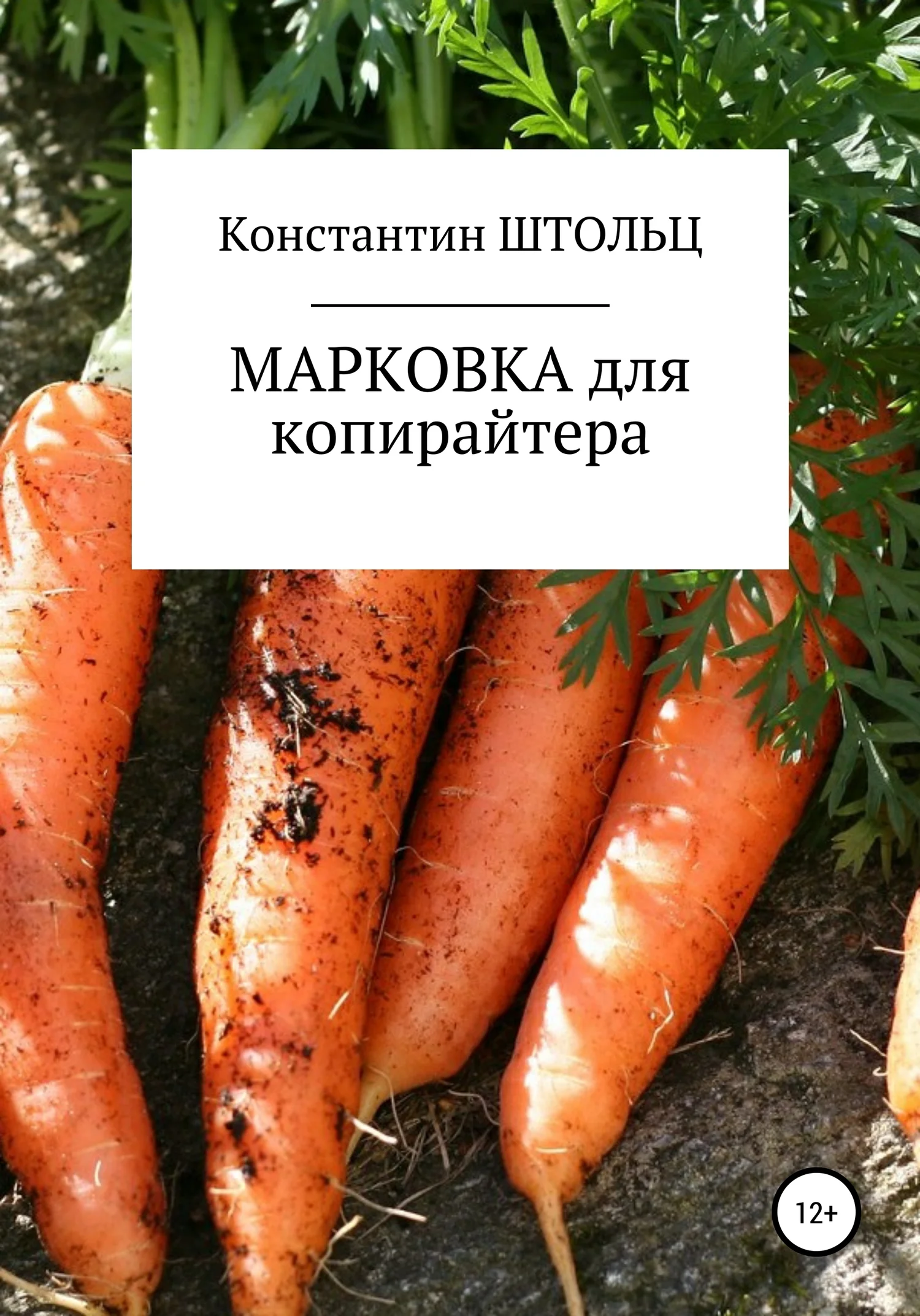 Обложка Марковка для копирайтера. Самоучитель