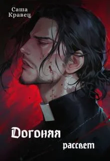 Обложка Догоняя рассвет