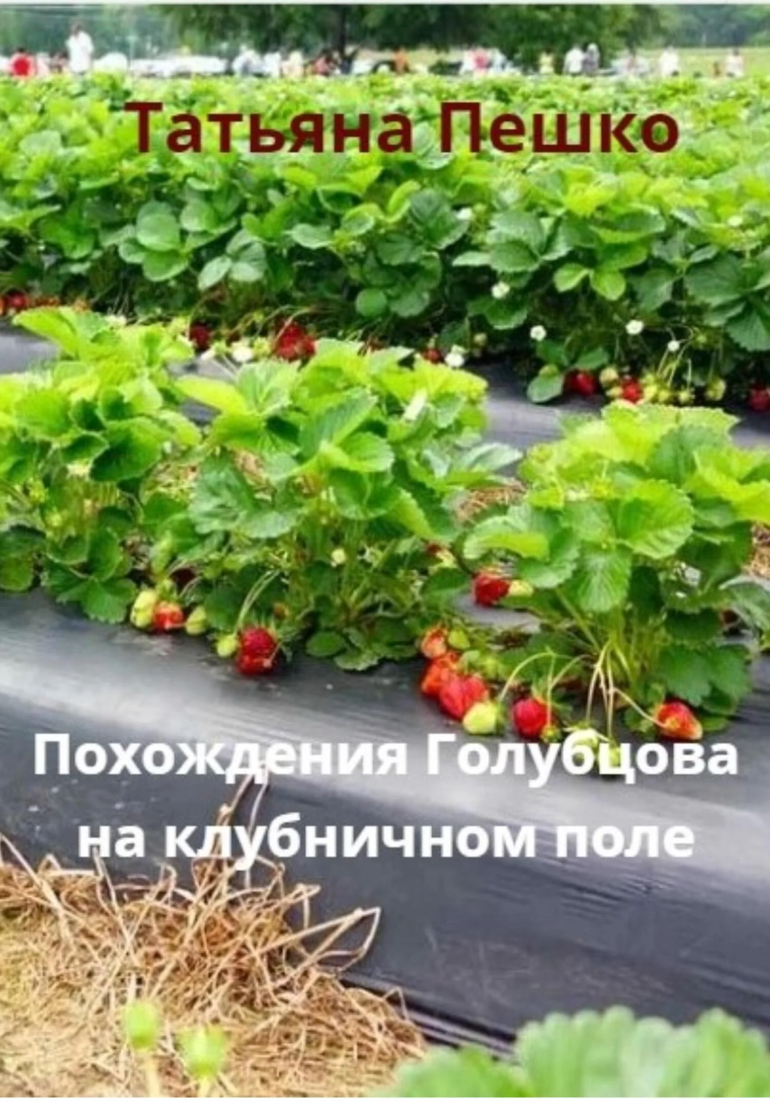Обложка Похождения Голубцова на клубничном поле