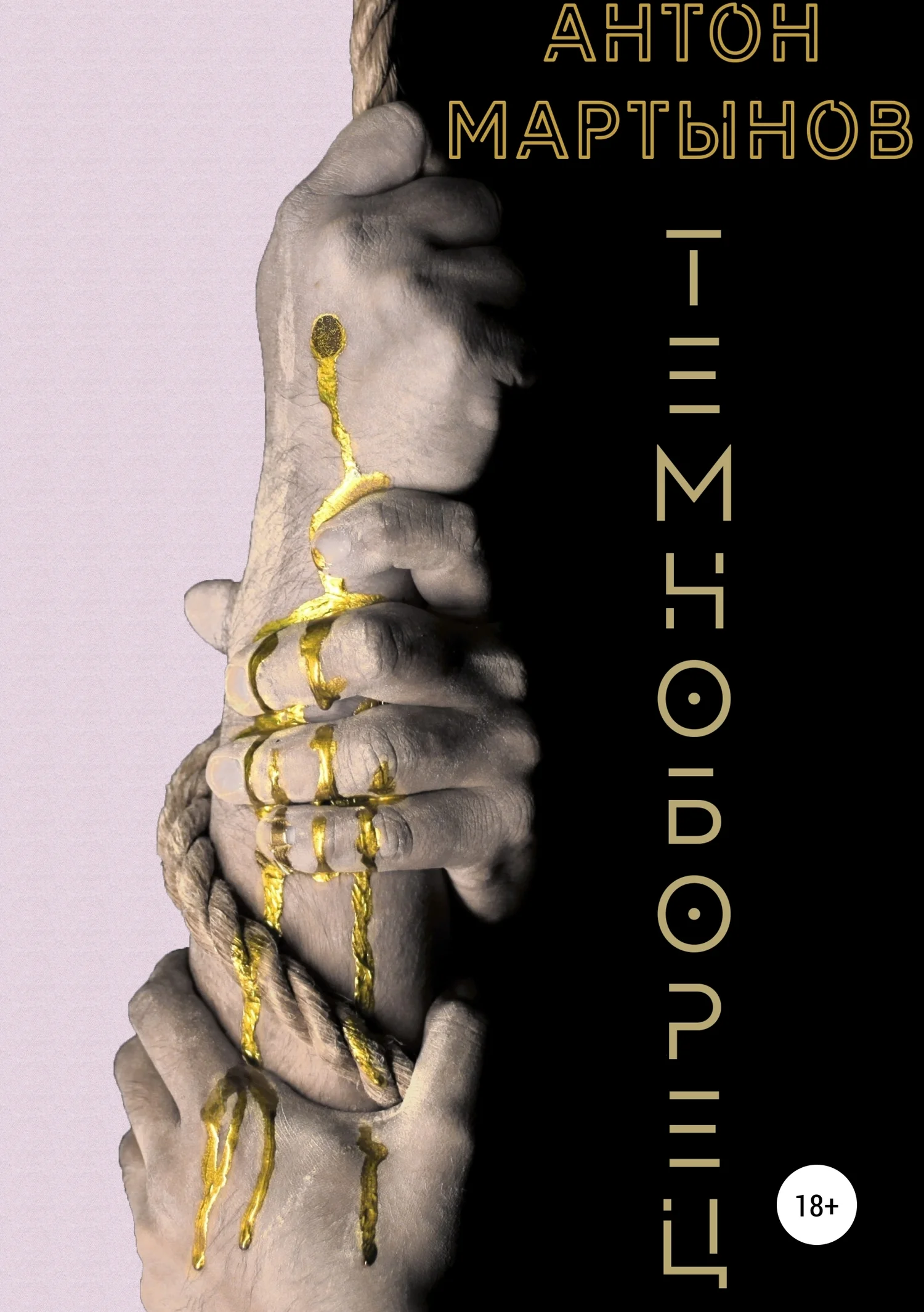 Обложка Темноборец