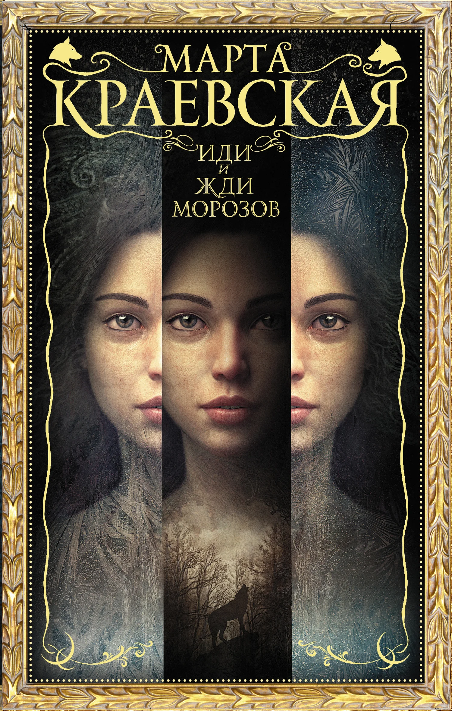 Обложка Иди и жди морозов