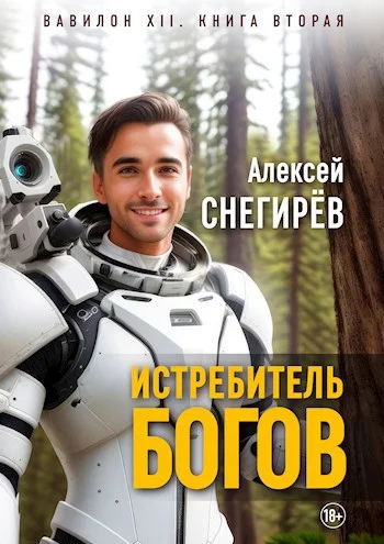 Обложка Истребитель богов