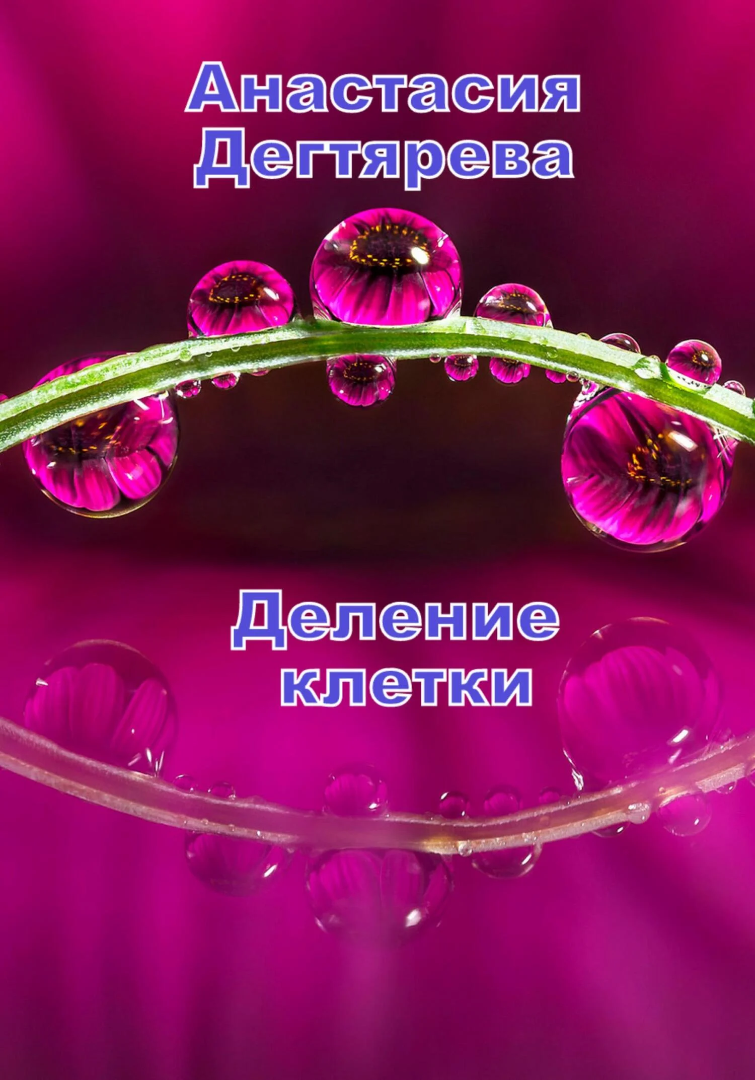 Обложка Деление клетки