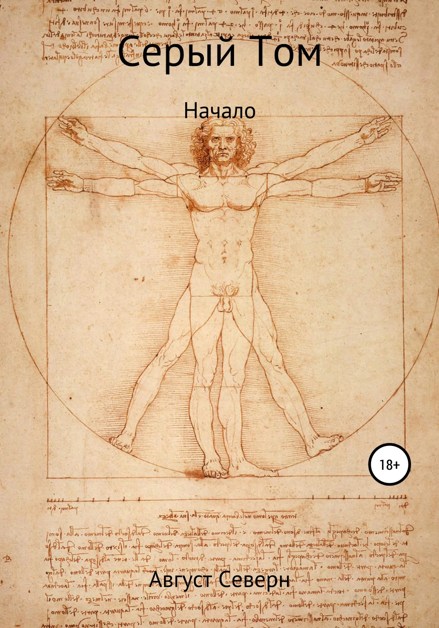 Обложка Серый Том. Начало