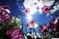 Обложка Любовь сквозь пространство