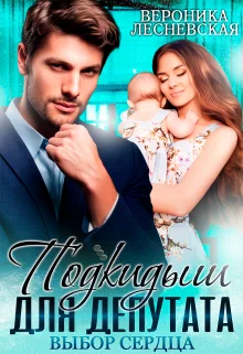 Обложка Подкидыш для депутата. Выбор сердца