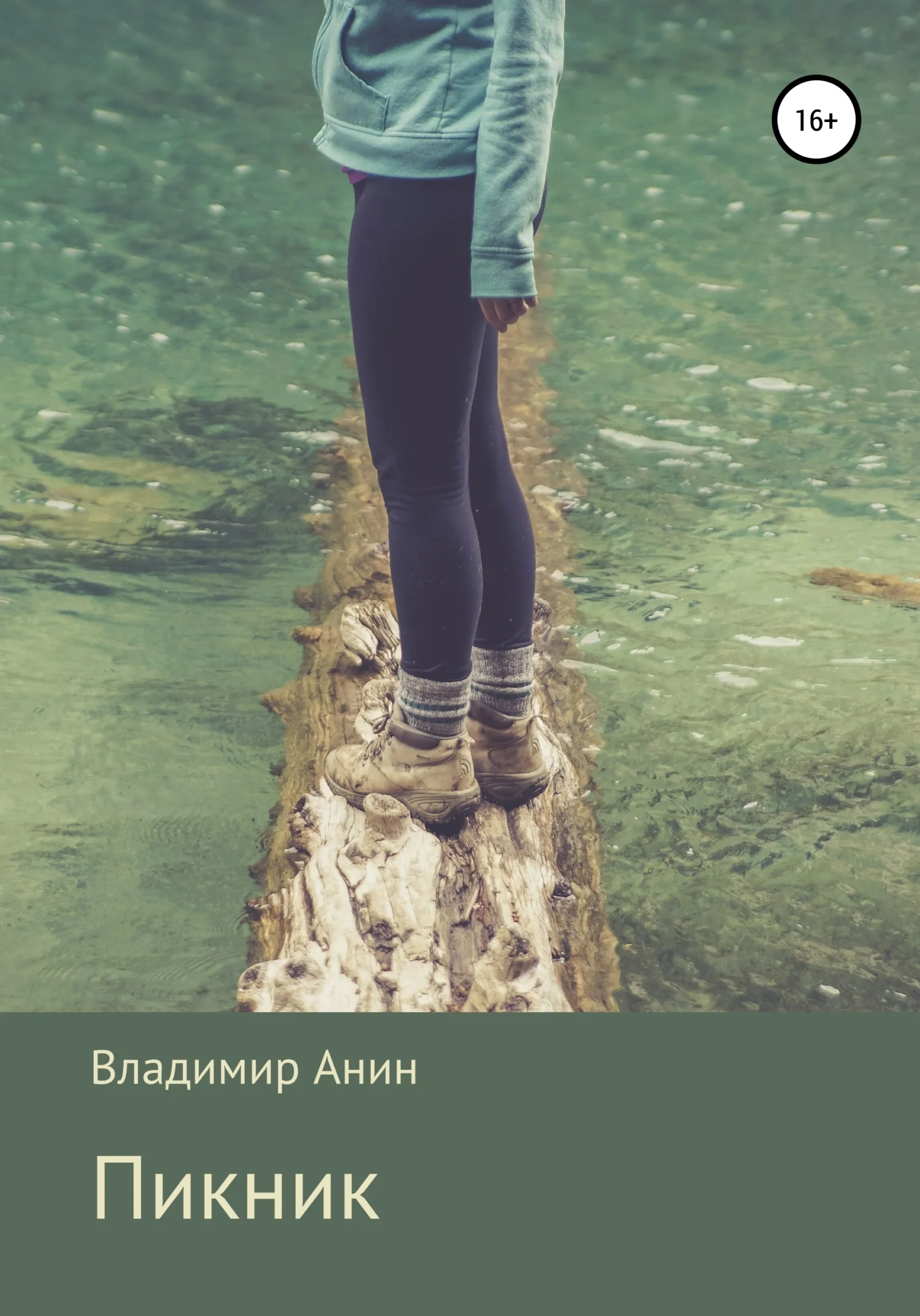 Обложка Пикник
