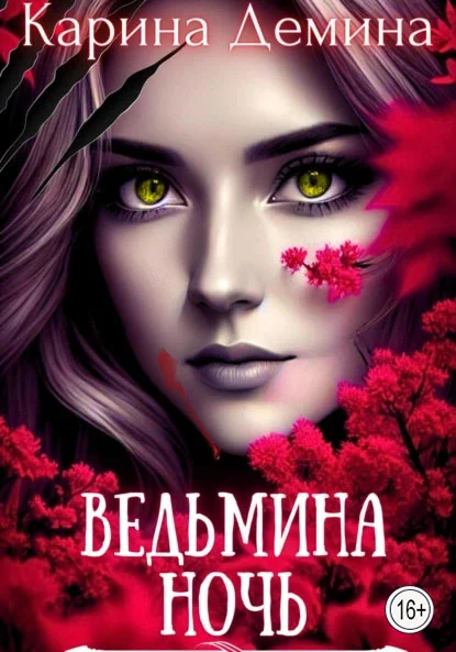 Обложка Ведьмина ночь