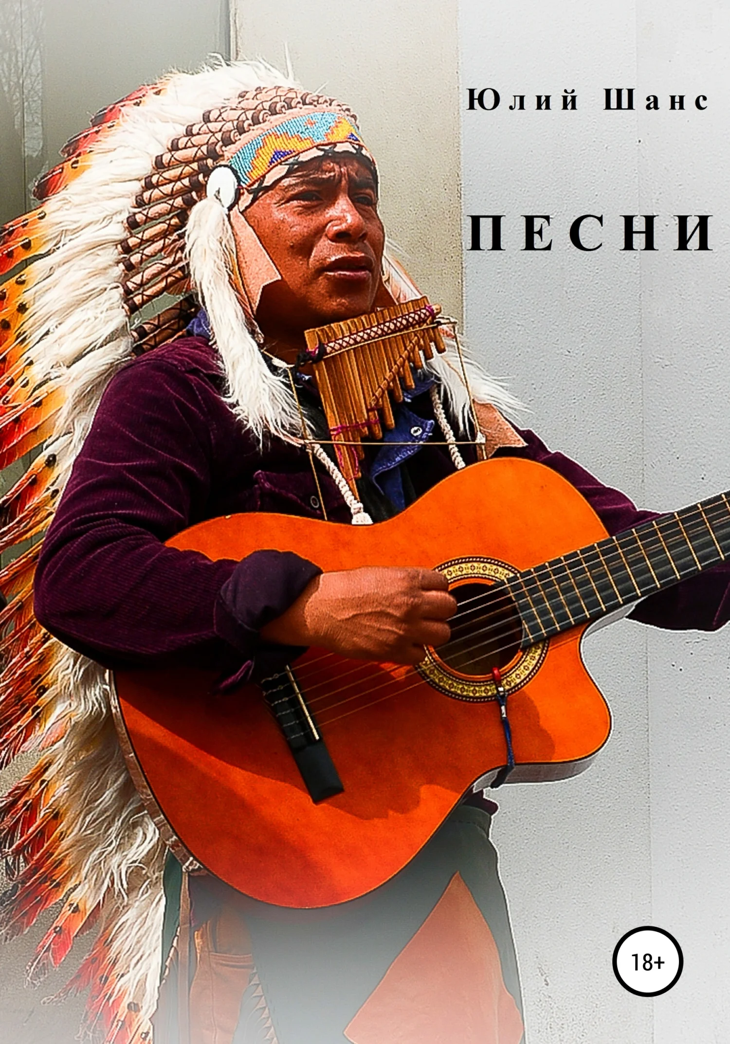 Обложка Песни