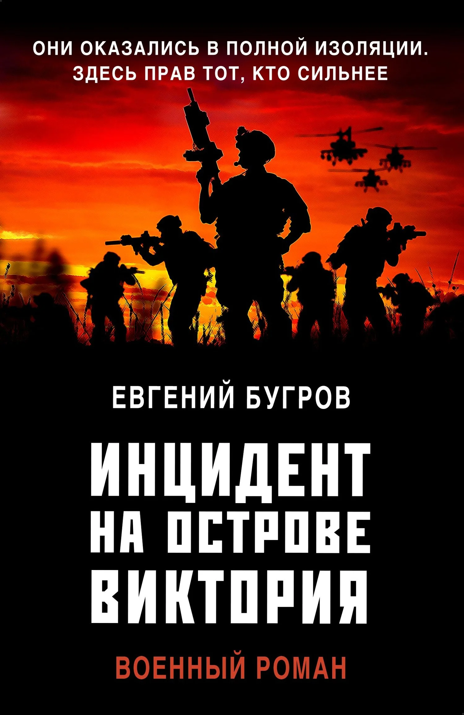 Обложка Инцидент на острове Виктория