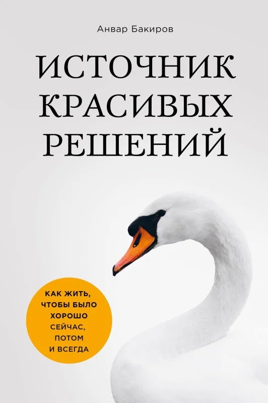 Обложка Источник красивых решений. Как жить, чтобы было хорошо сейчас, потом и всегда