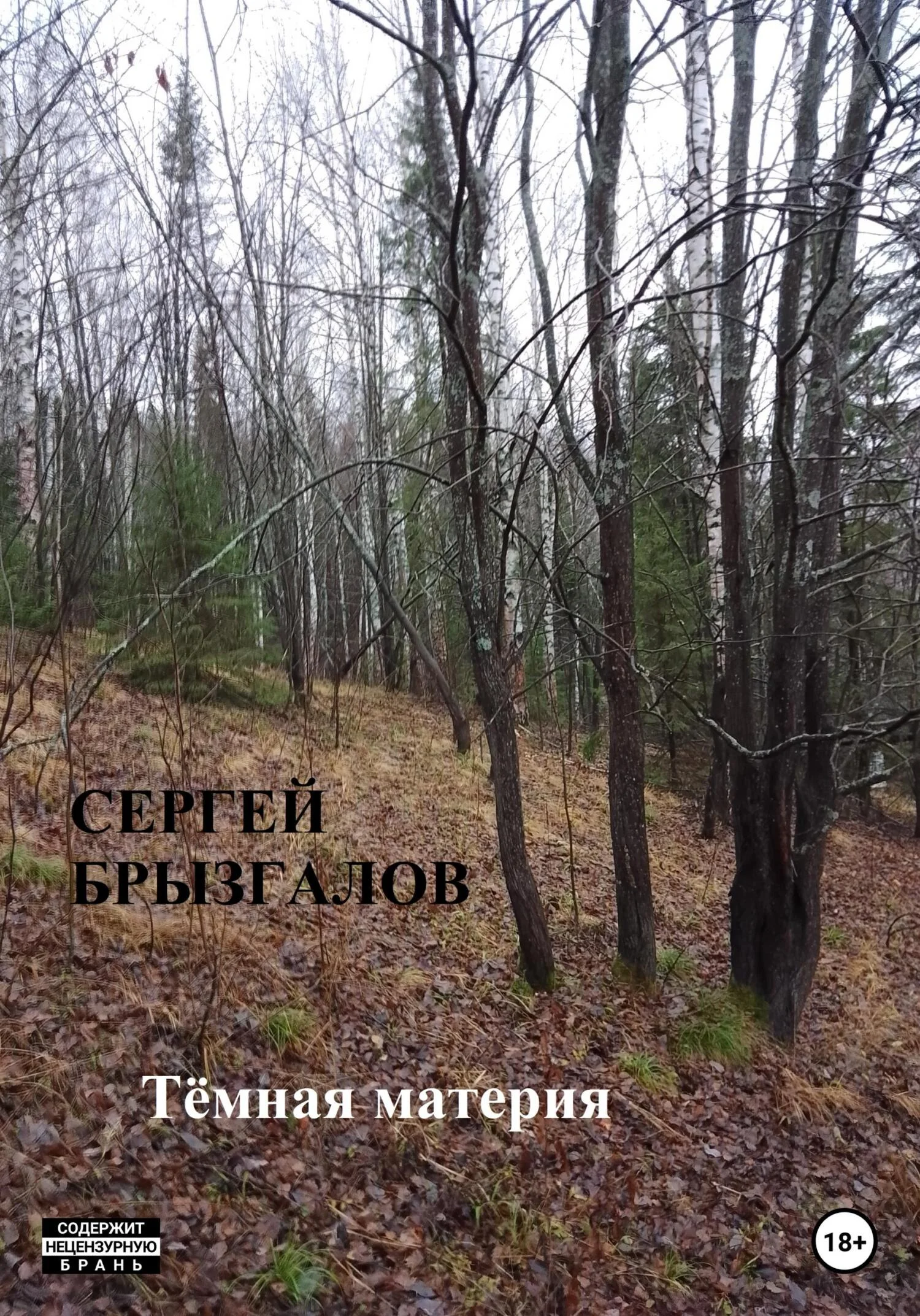 Обложка Тёмная материя