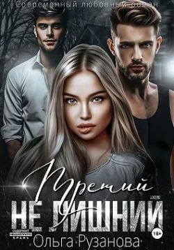 Обложка Третий не лишний