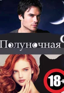 Обложка Полуночная девственница