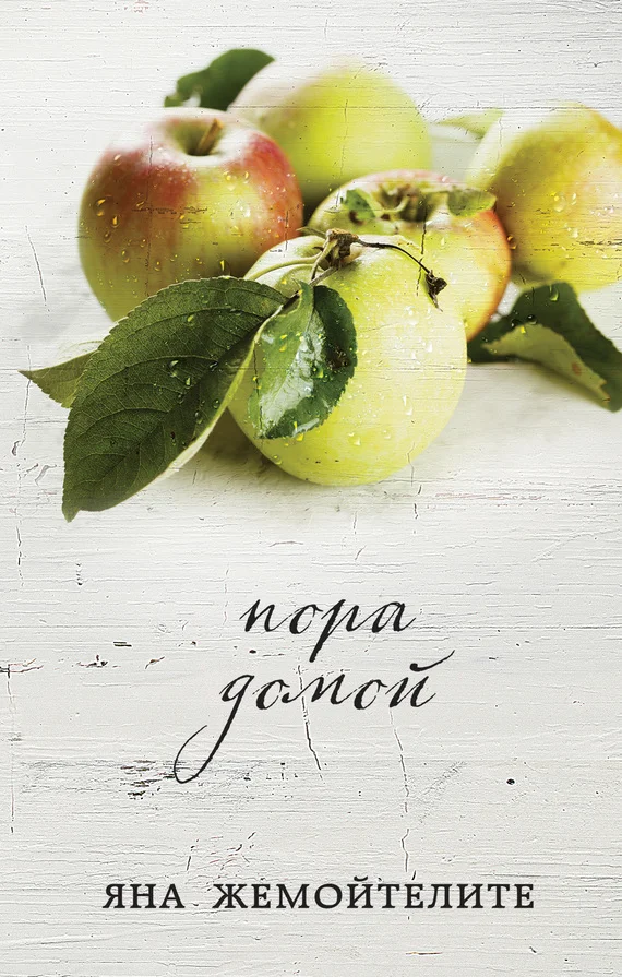 Обложка Пора домой