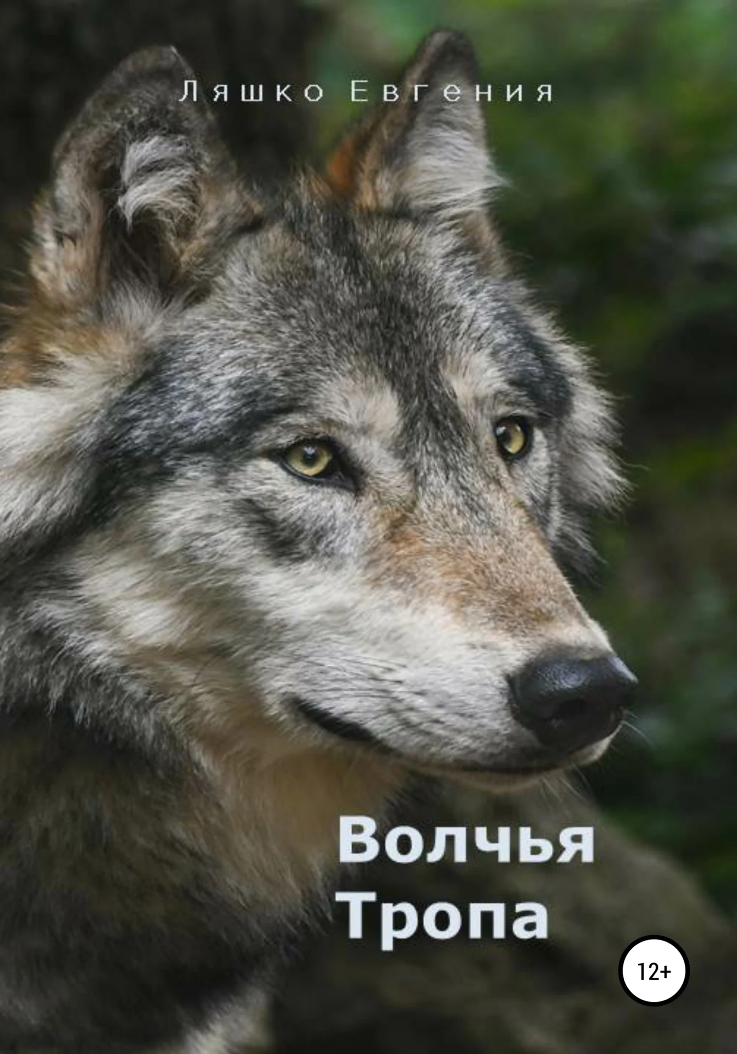 Обложка Волчья тропа