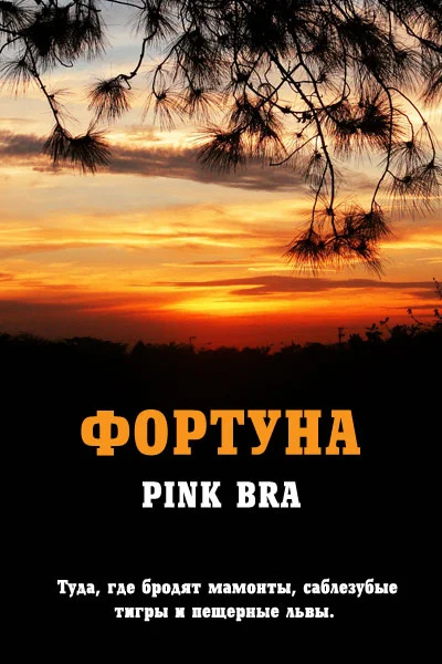 Обложка Фортуна