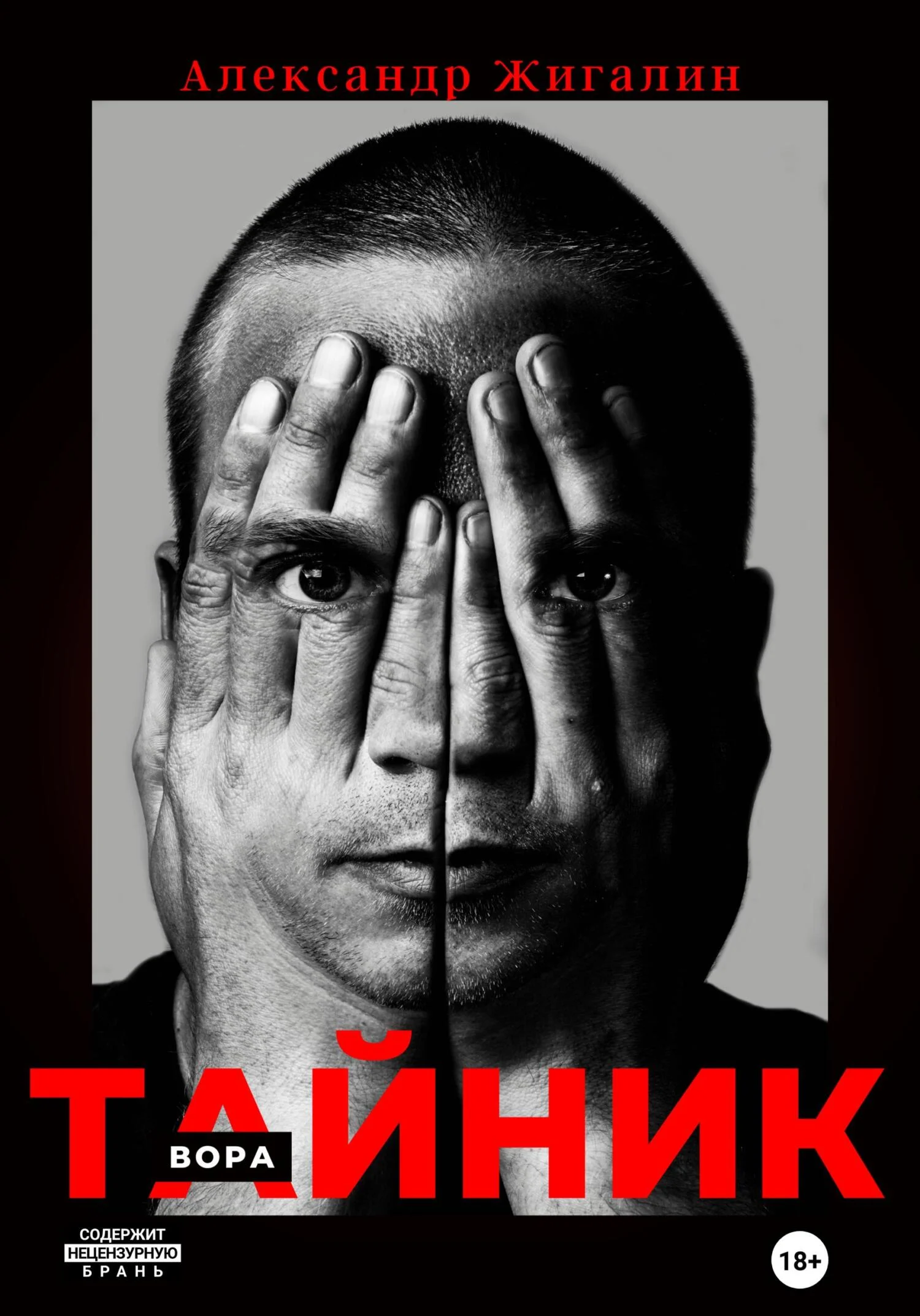 Обложка Тайник вора