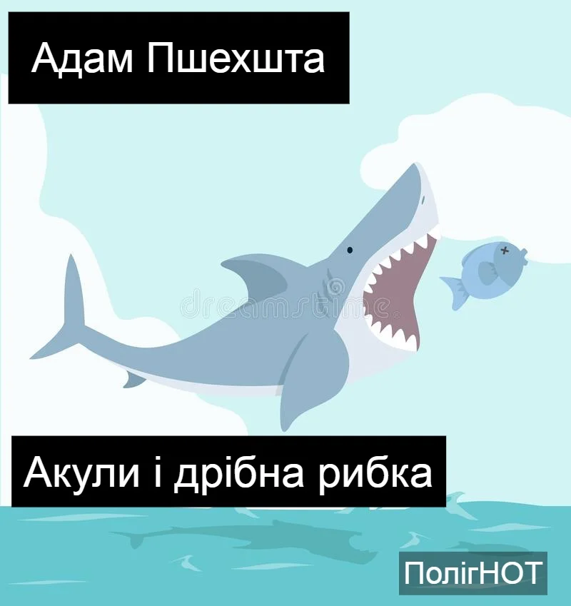 Обложка Акули і дрібна рибка