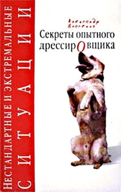 Обложка Волшебная палочка и заколдованный круг