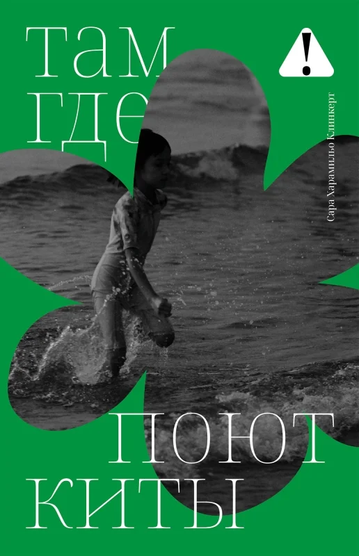 Обложка Там, где поют киты