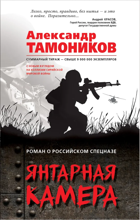 Обложка Янтарная камера