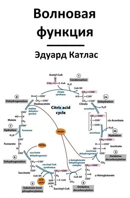 Обложка Волновая функция