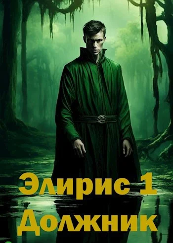Обложка Элирис. Книга 1. Должник
