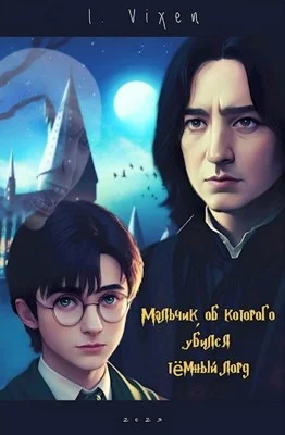 Обложка Мальчик, об которого убился Тёмный Лорд