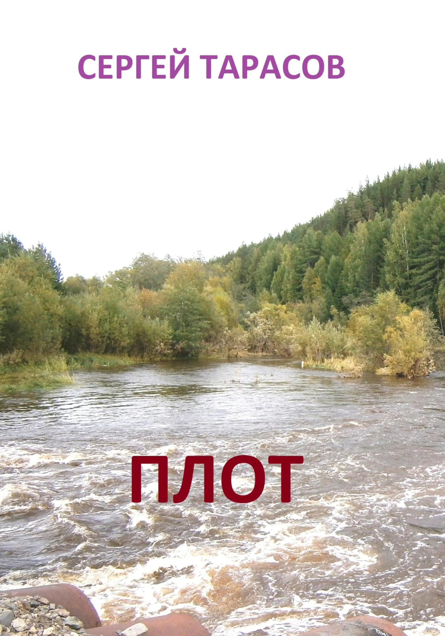 Обложка Плот